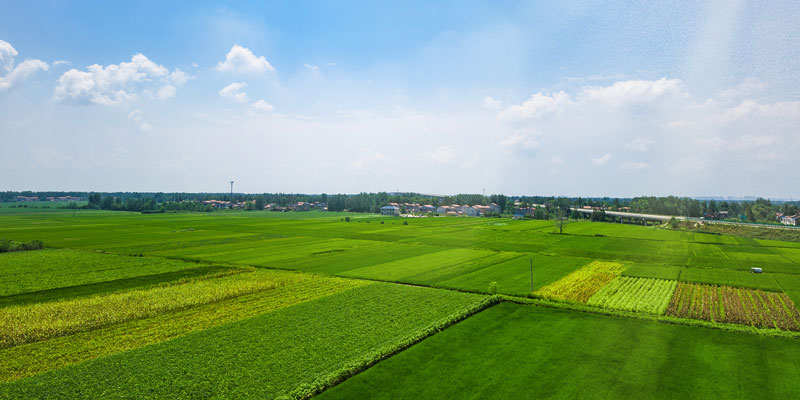 土壤養(yǎng)分檢測儀在農(nóng)業(yè)生產(chǎn)中的作用