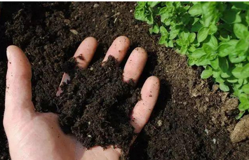 土壤檢測儀器檢測效果準(zhǔn)不準(zhǔn)？