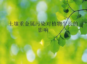 土壤重金屬測定時(shí)樣品為什么要風(fēng)干