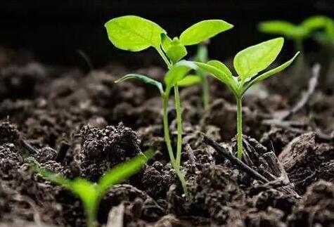 土壤水分測(cè)定儀器有哪些？萊恩德土壤水分測(cè)定儀