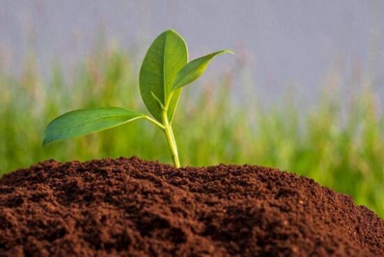 土壤活性酸和潛性酸怎么測定？