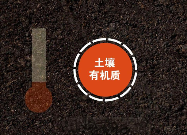 測定土壤有機(jī)質(zhì)需要注意哪些問題